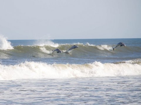 OBX Surf Cam Placed at Village Realty Rental