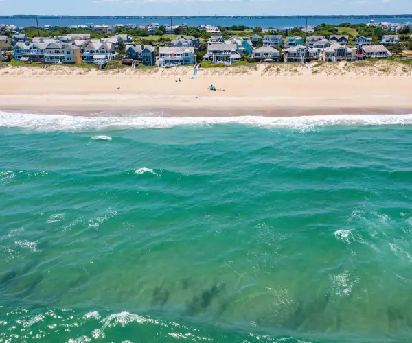 Image for The Tide Is Right for Spring Savings!