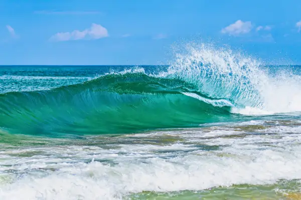 Image for Wave Hello to Summer Savings